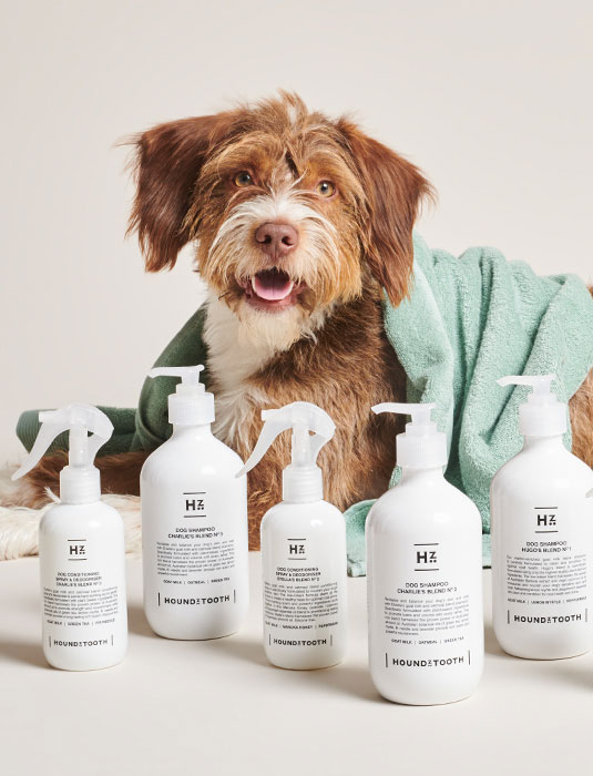 HUGO BLEND Shampoo3