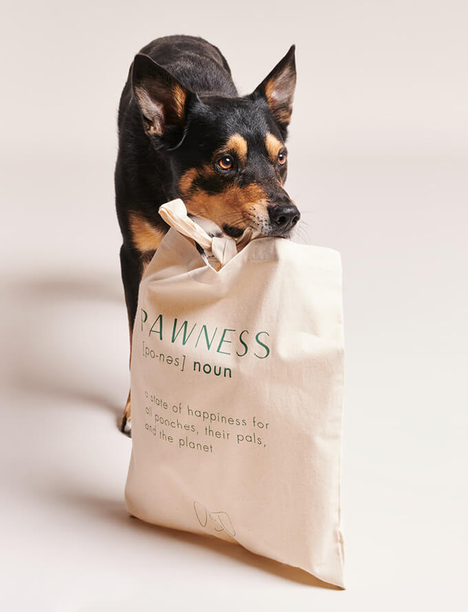 Een hond die een tas vasthoudt met de woorden "pawness" erop.