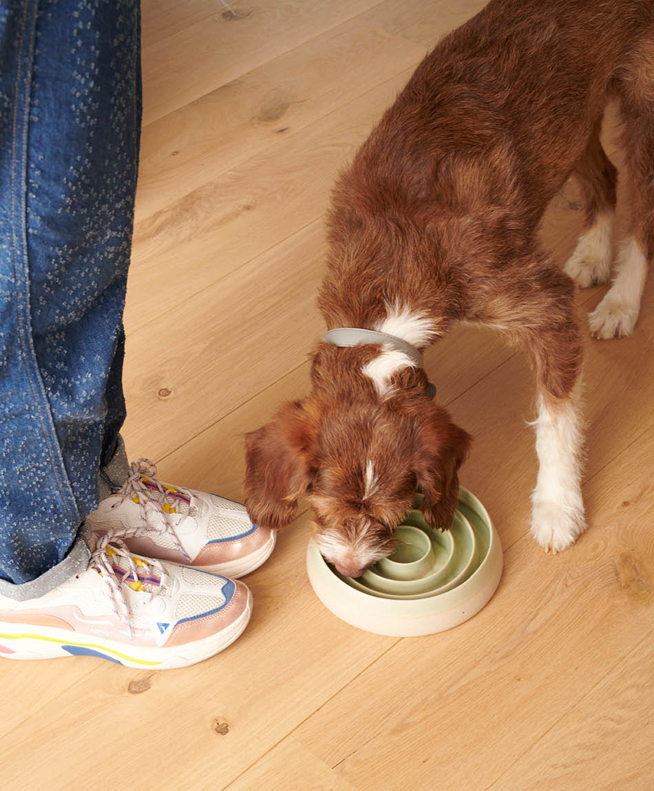 Bo eten uit slowfeeder