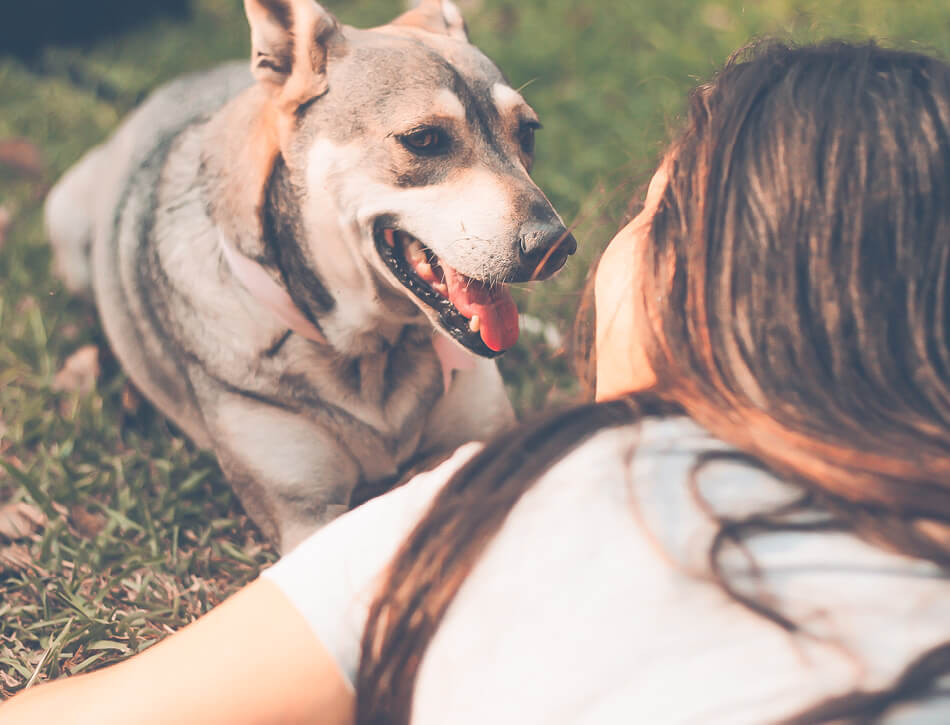 Hond en baasje