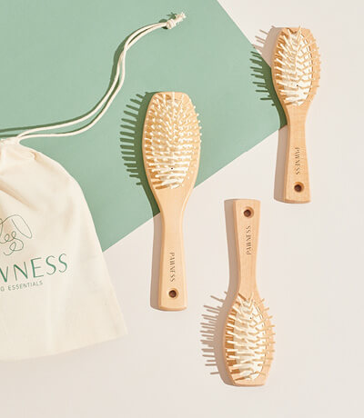 BRUSHES_29