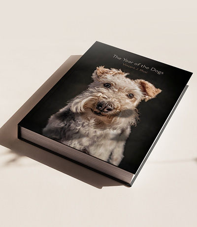 THE YEAR OF THE DOGS BOEK