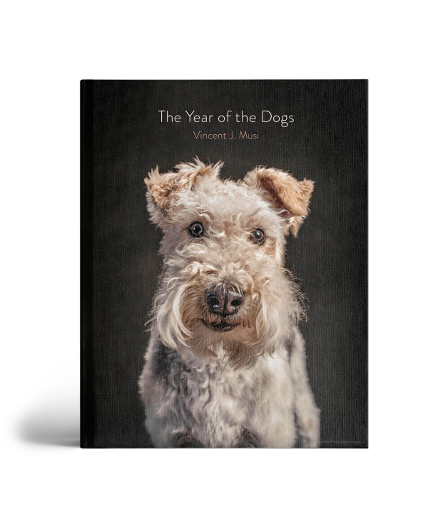 The year of the dogs boek