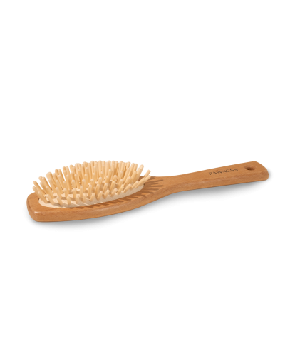 Houten Hondenborstel M