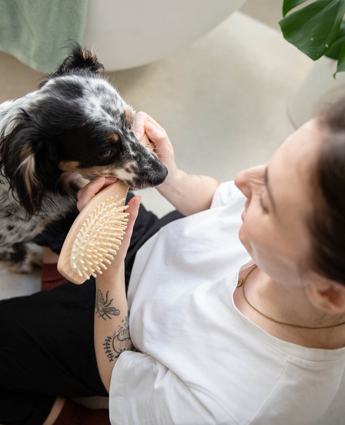 hondenborstel hout - hond met baasje