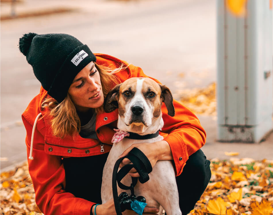 Baasje en hond