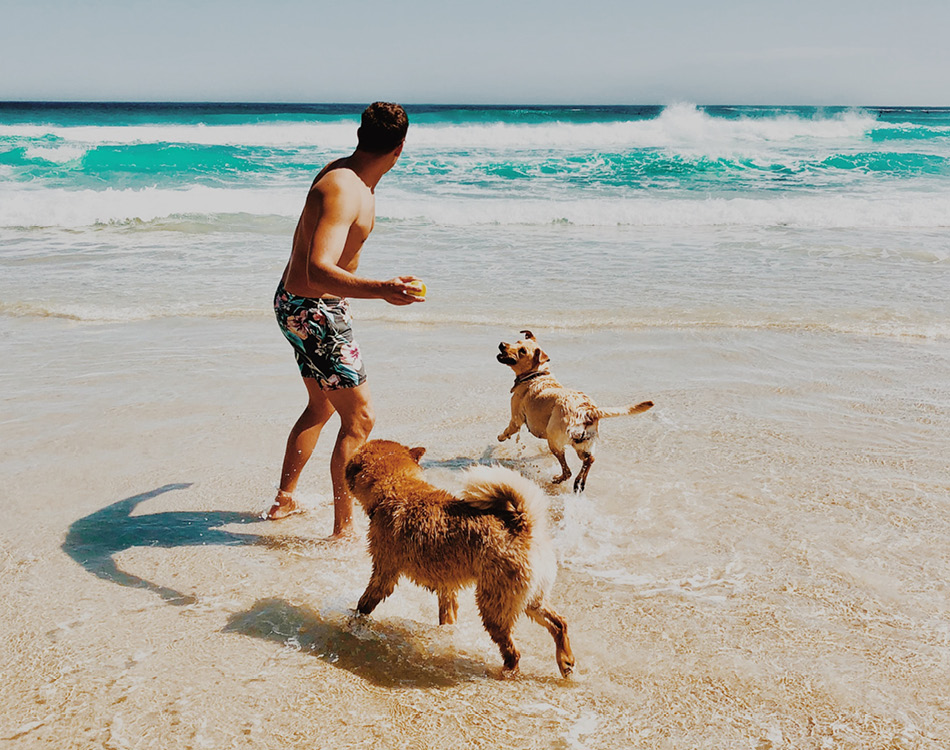 Tip: Met je hond op vakantie, zo doe je - Lees snel verder