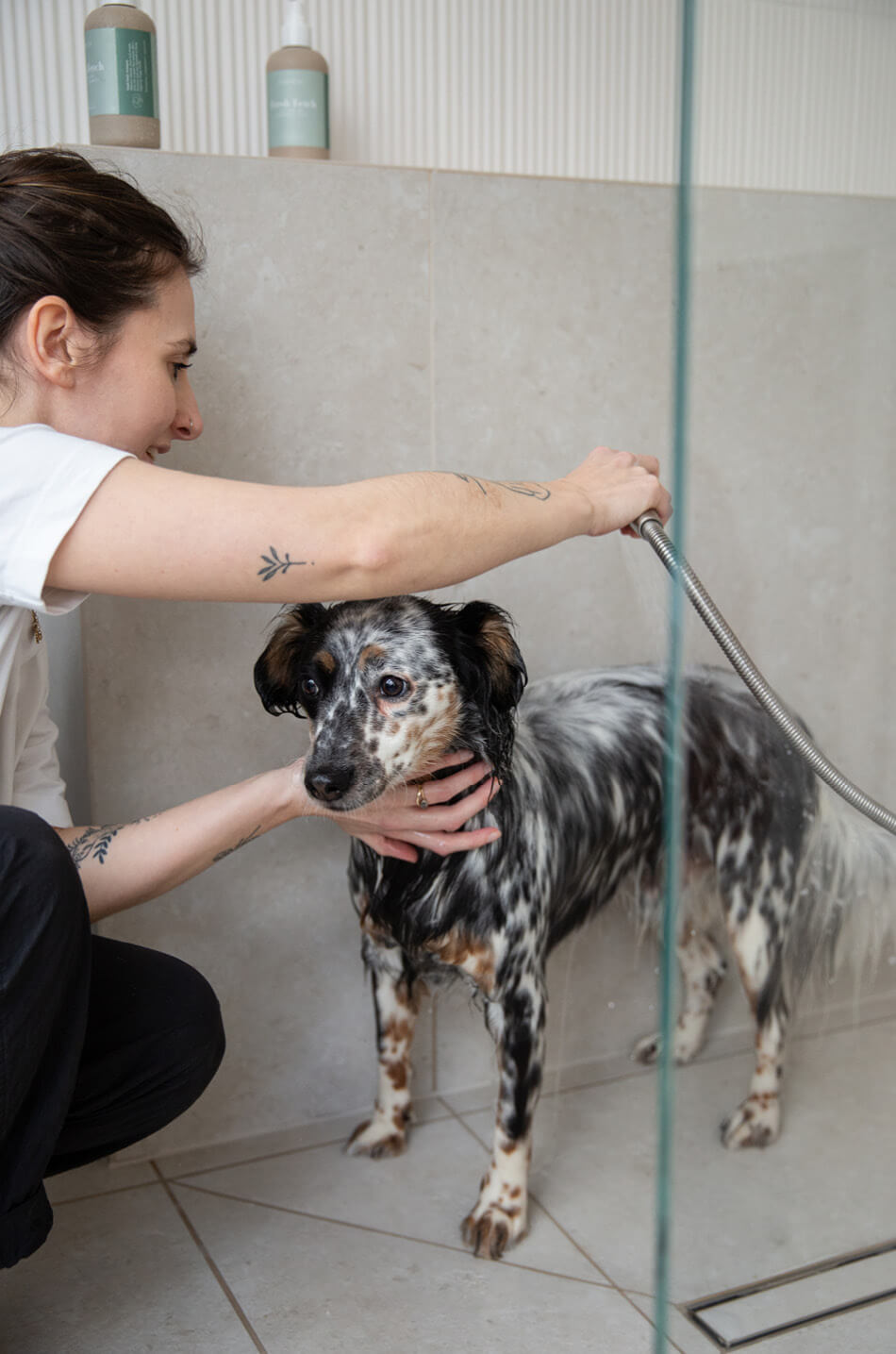 Honden vachtverzorging - baden