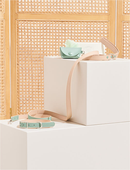 HALSBAND_ALL COLOURS_banners4