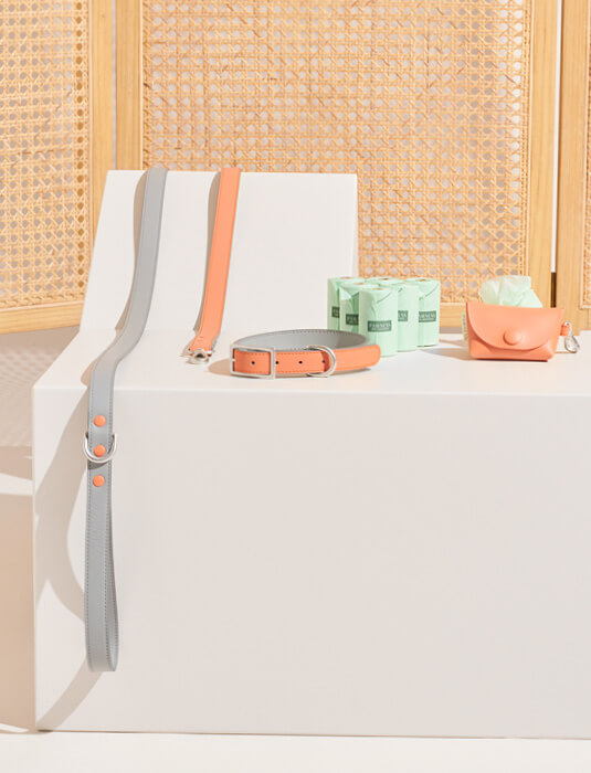 HALSBAND_ALL COLOURS_banners6