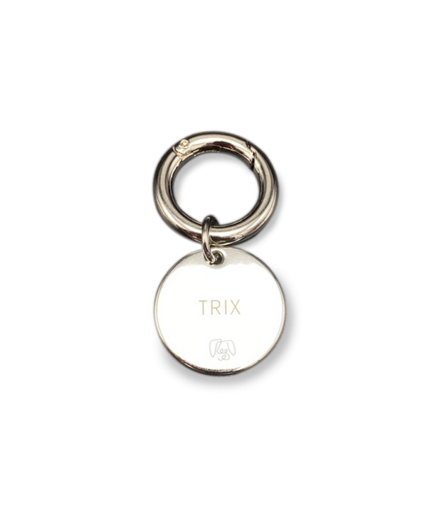 Een sleutelhanger met het woord "tix" erop, een klein en draagbaar voorwerp om sleutels in te bewaren.