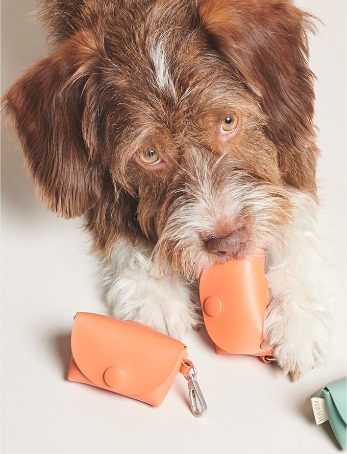 Hond met Snacktasje