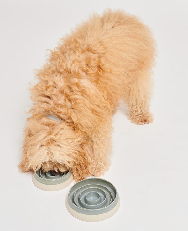 Een hond vrolijk etend uit een kom met twee ronde ringen.