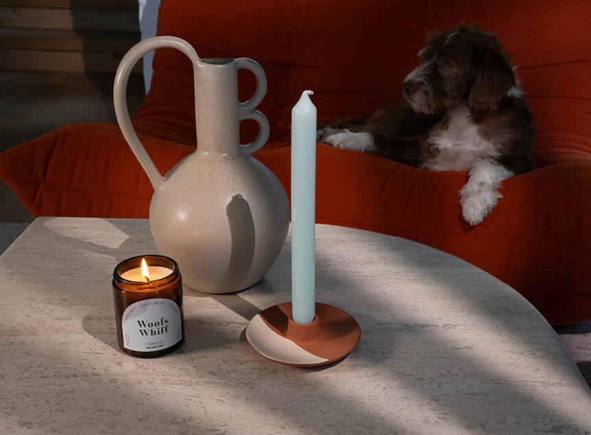 Geurkaars en hond