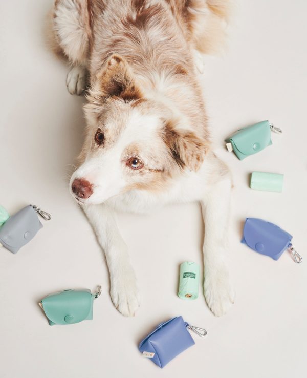 Een hond rustend op een wit oppervlak, omringd door kleine speeltjes, waardoor een speels en schattig tafereel ontstaat.