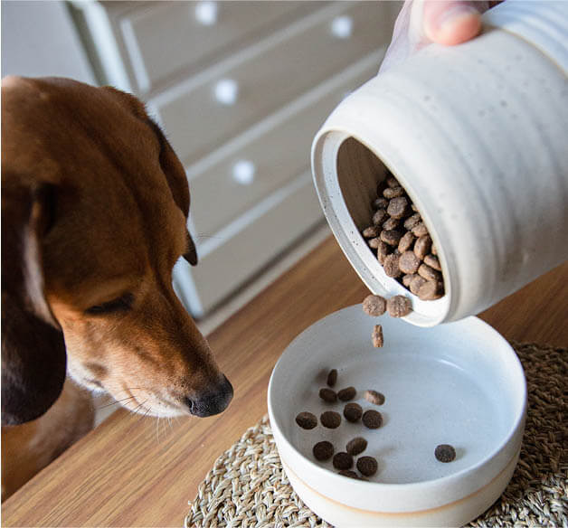 honden koekpot met hond