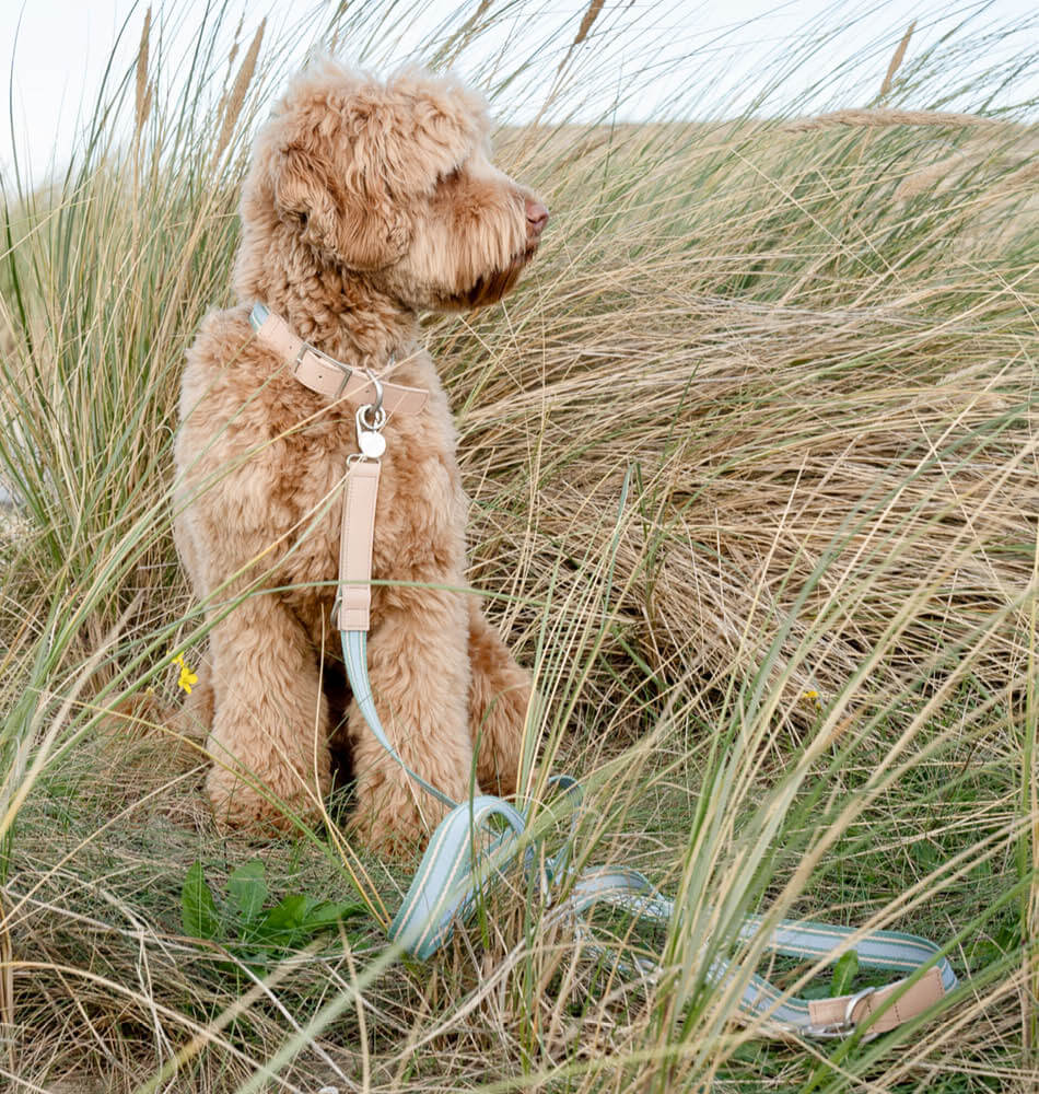Wandelcollectie Trix in kleur emerald