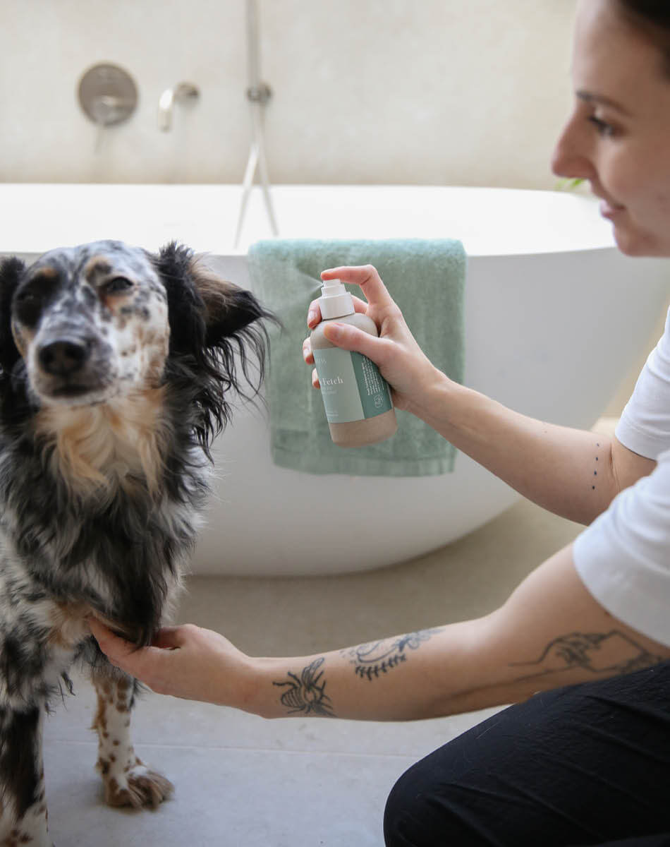 Hond met Fresh fetch conditioning spray