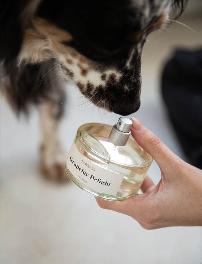 Hondenparfum Grapefur Delight met hond