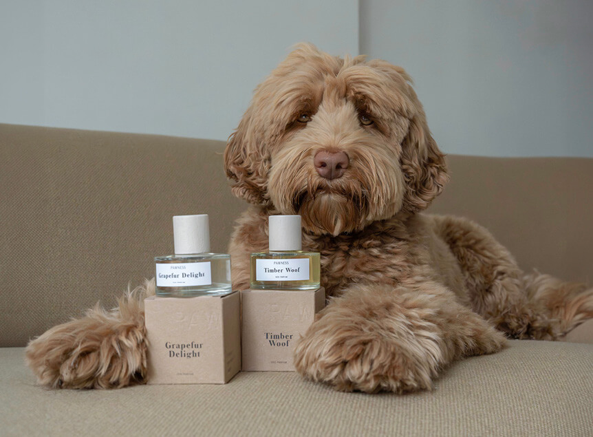 Labradoodle met Hondenparfum set