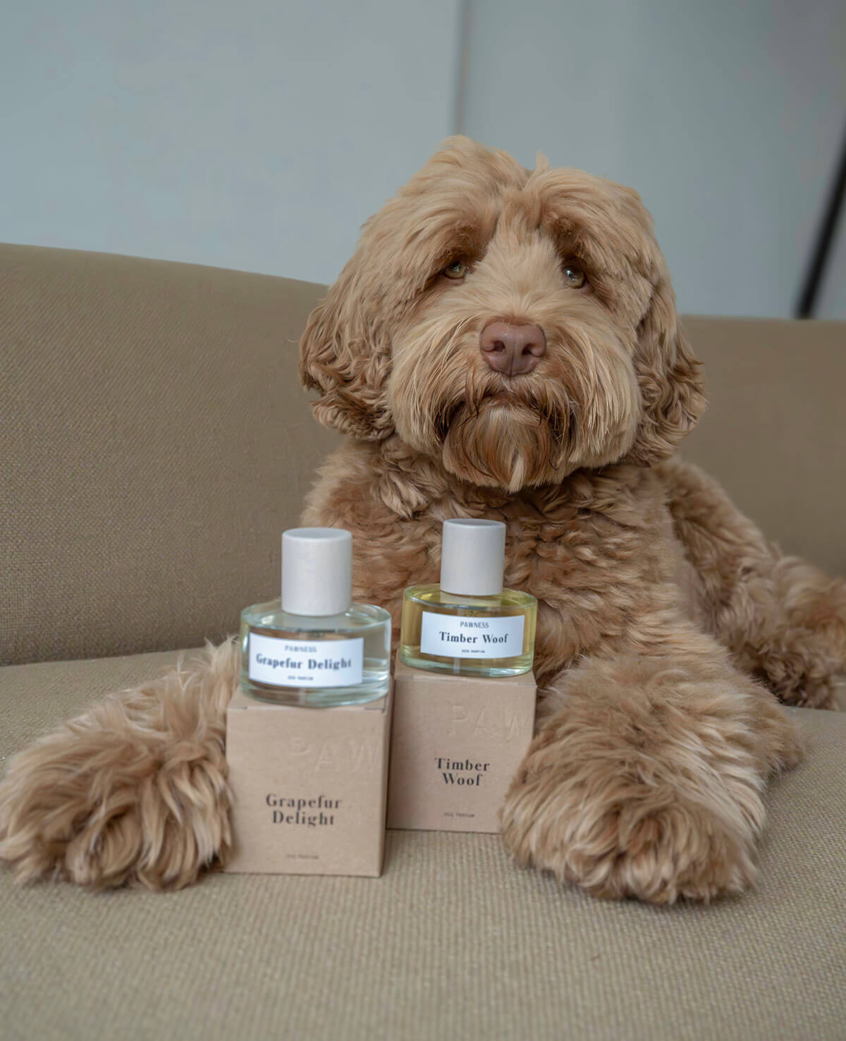 Hond poseert met hondenparfum set