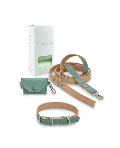 Wandelset Hondenhalsband emerald