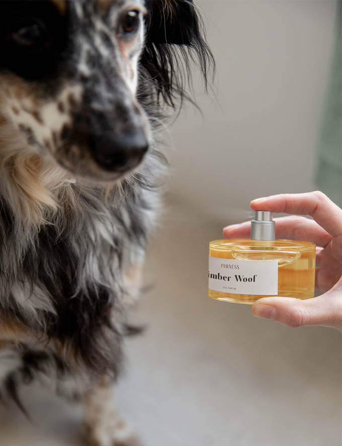 Hond met parfum Timber Woof