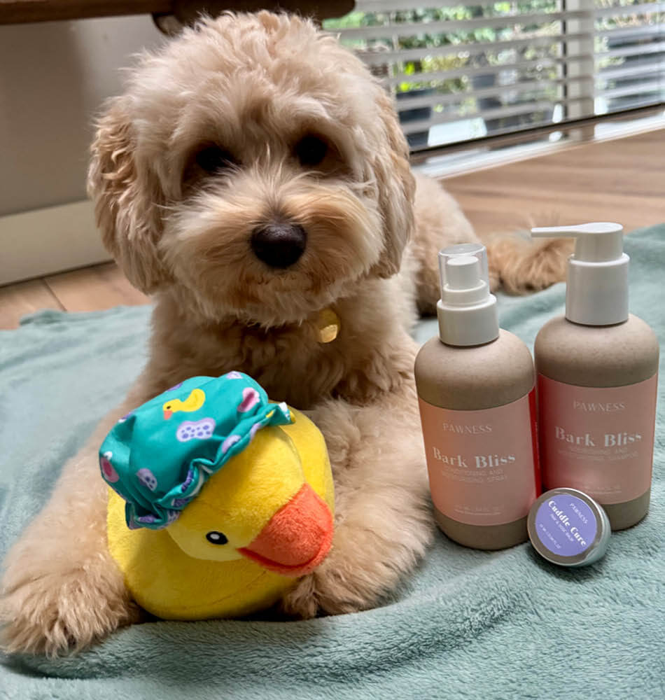 Sammie met Pawness Care Collection