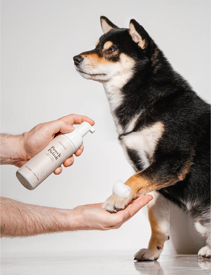 Rinse-free Foam Shampoo en hond
