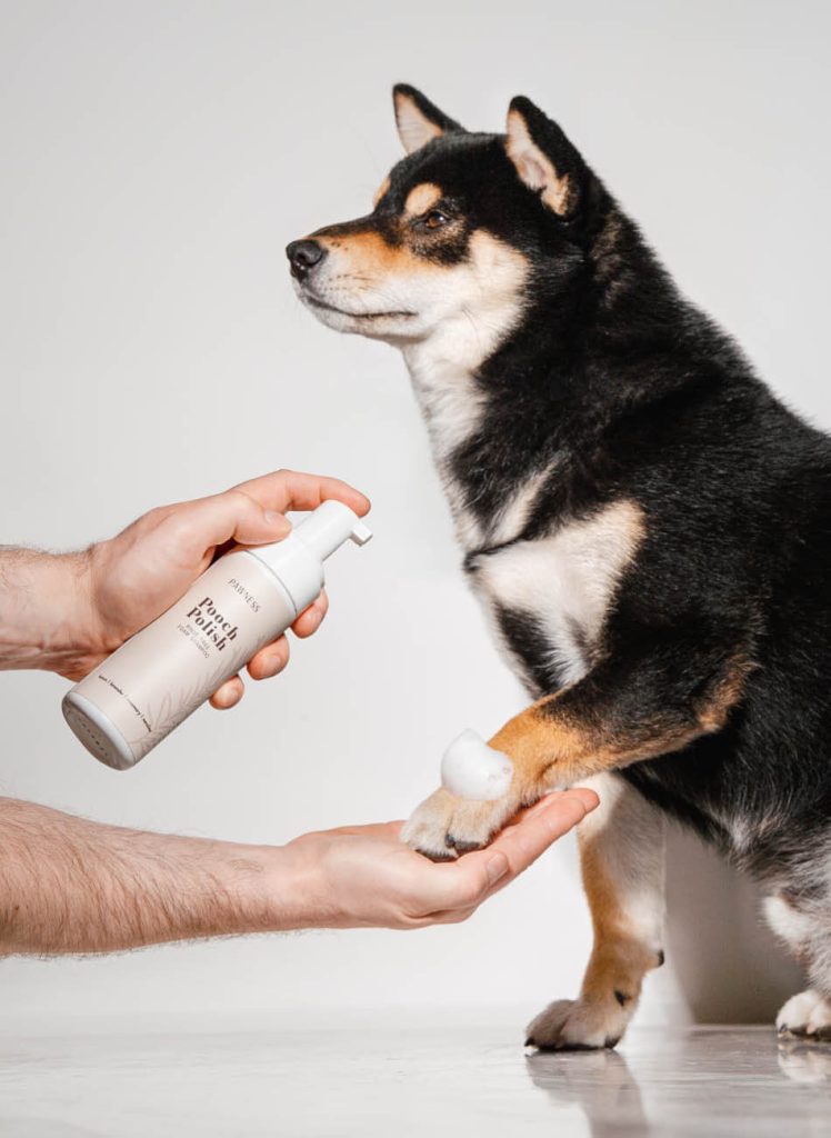 Hond met Pooch Polish