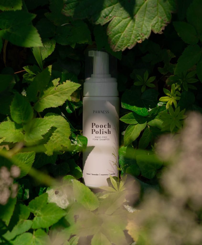 Pooch Polish in groen