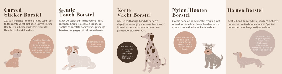 Specifieke borstelgids voor hondenrassen