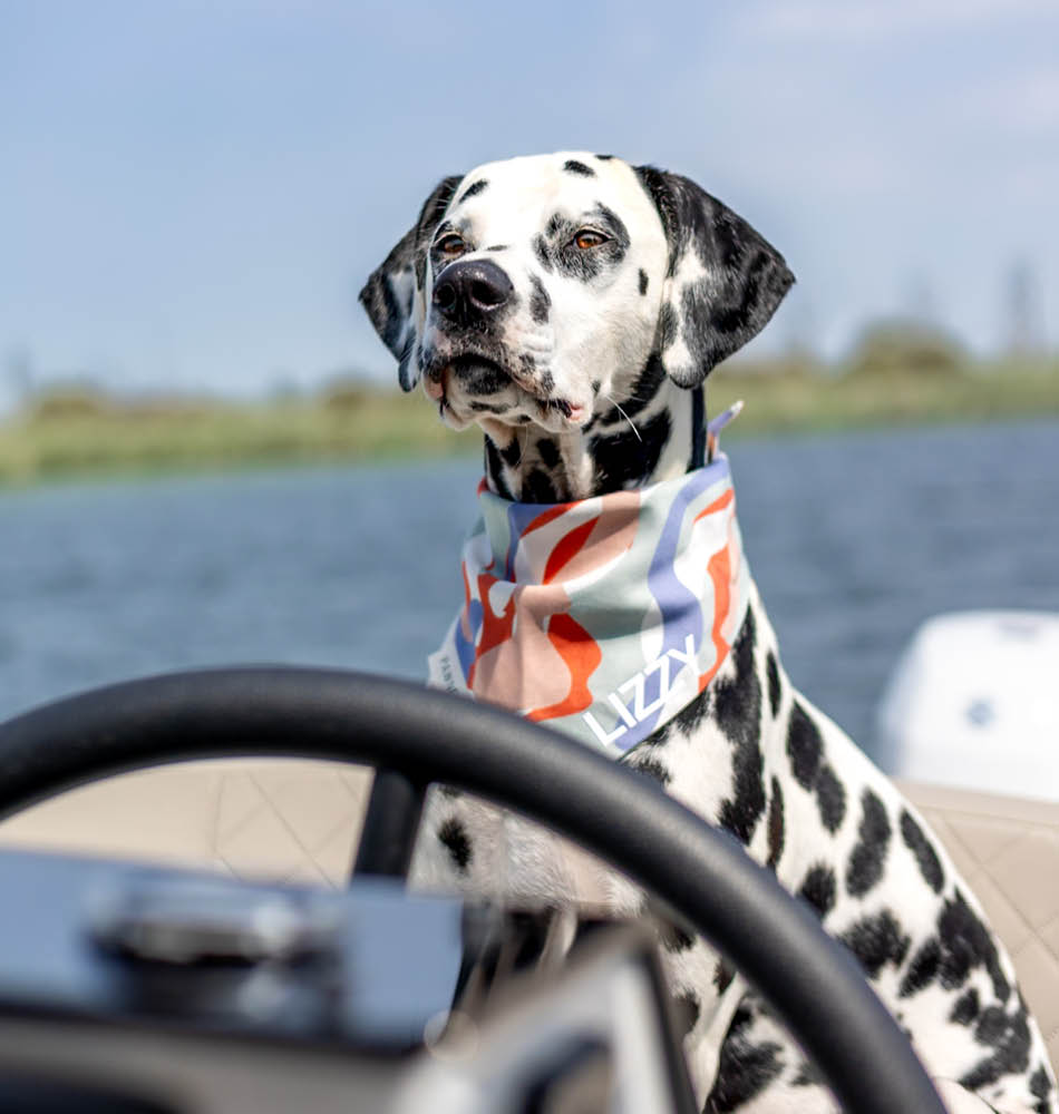 Lizzy op de boot