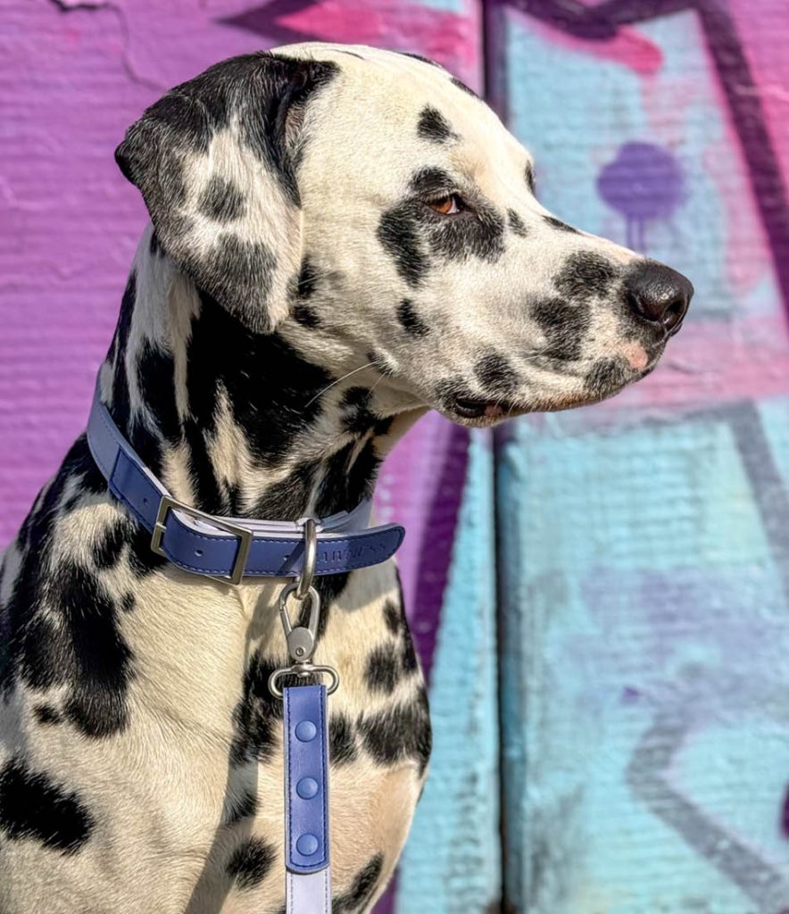 Lizzy met Mauve Mist wandelcollectie