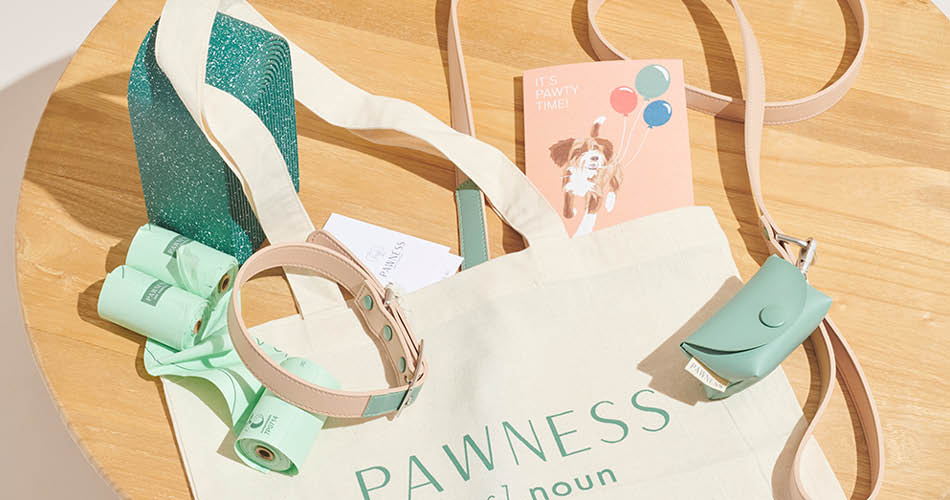 Pawness Bundel nieuwe hond