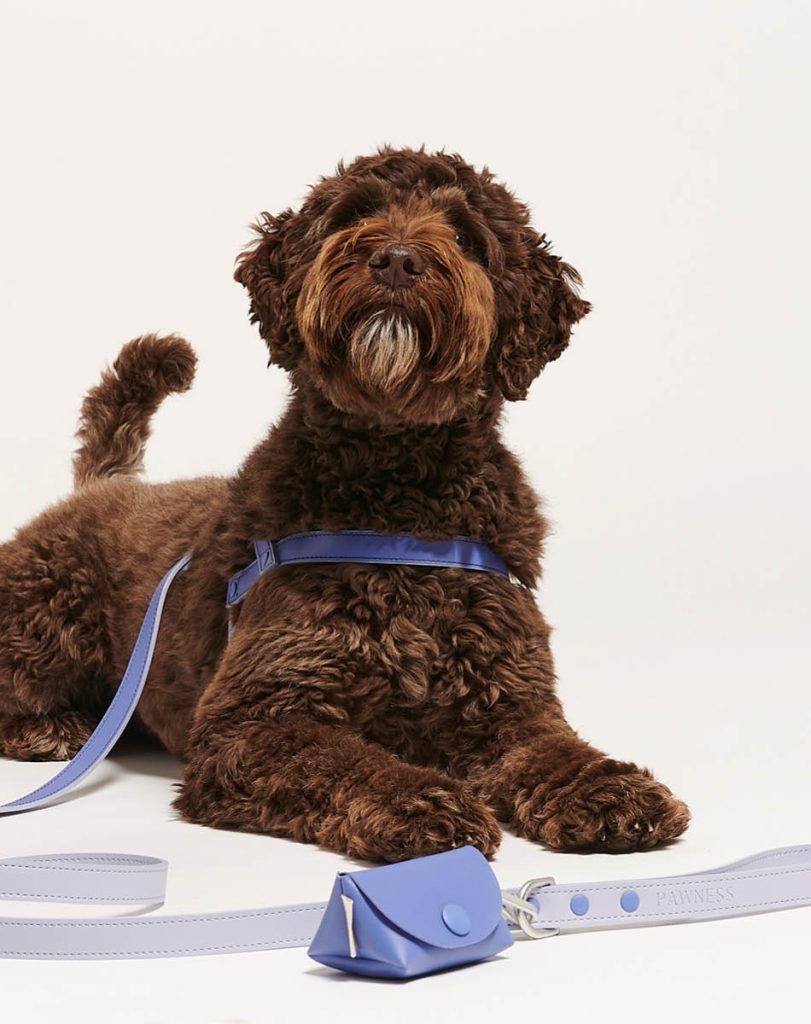 Trix met wandelcollectie Mauve Mist