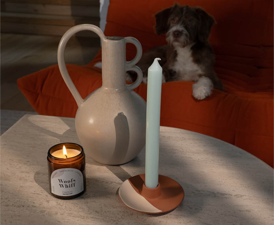 Bo met Woofs Whiff geurkaars