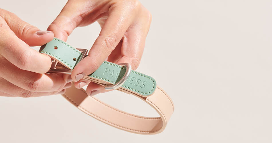 leren halsband voor hond