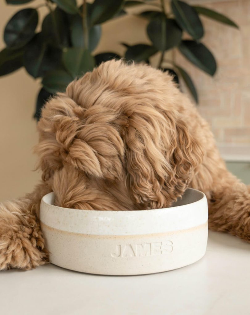 Gepersonaliseerde voerbak