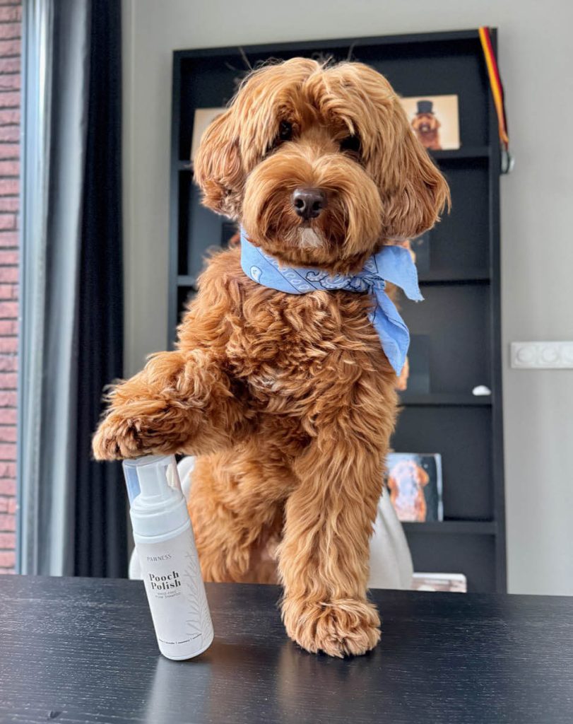 Frenkie en Pooch Polish