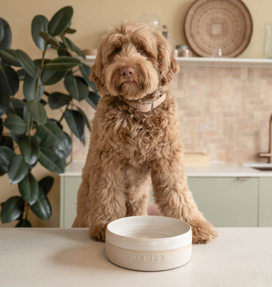 Doodle met gepersonaliseerde voerbak