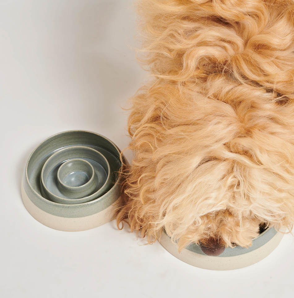 Doodle met anti-schrok voerbak grijs