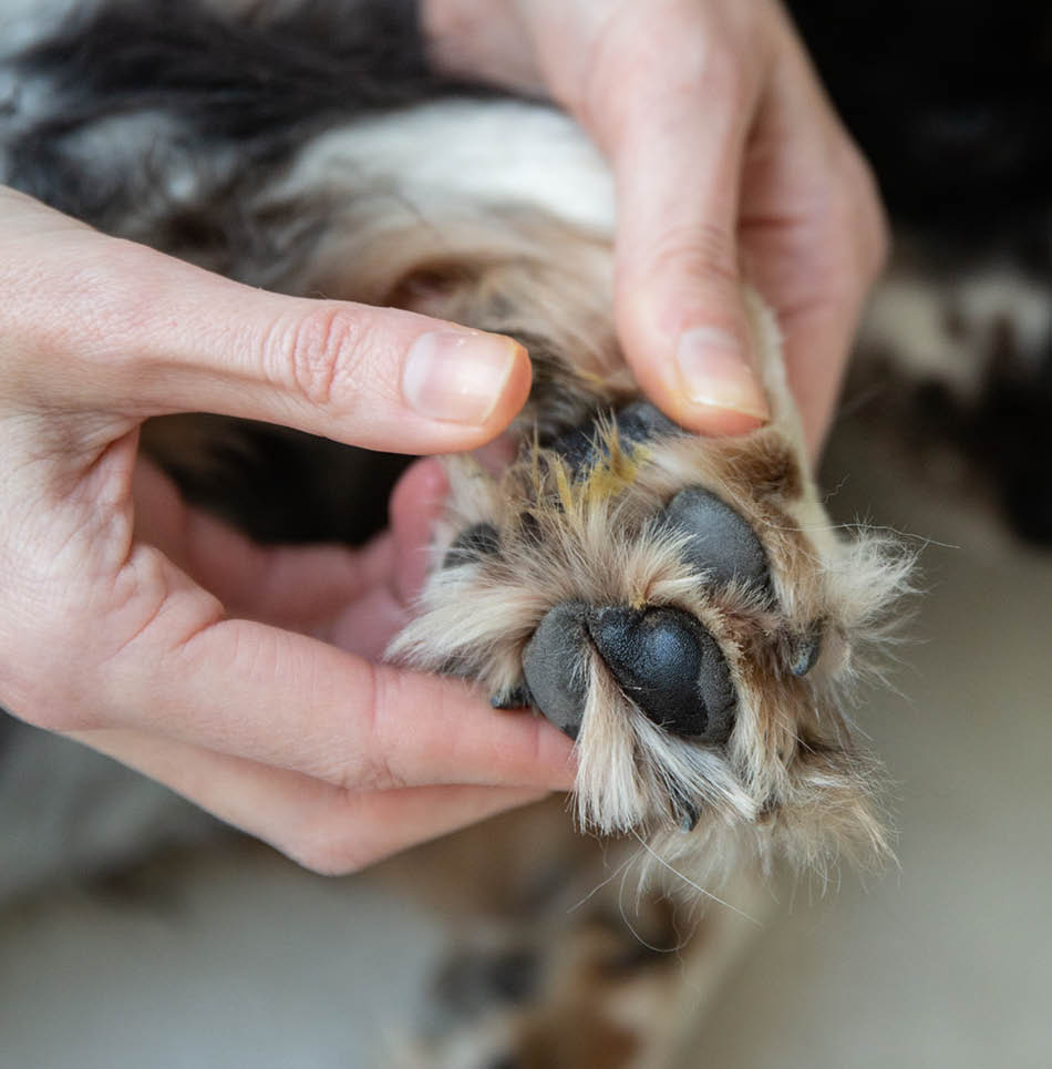 Voetzoolverzorging met Cuddle Cure Balsem