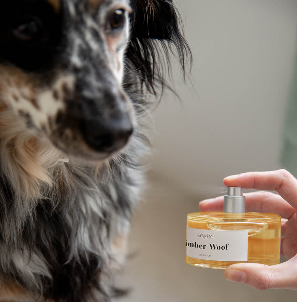 Timber woof parfum