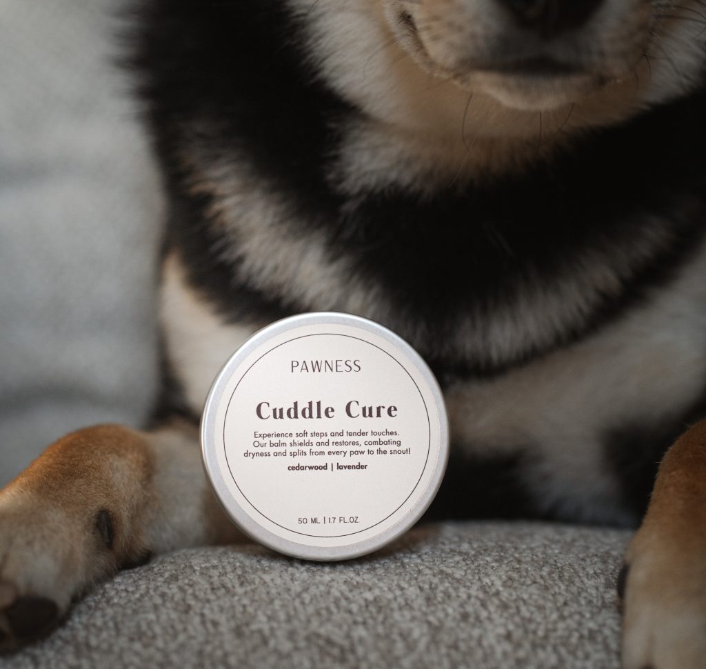 Honden balsem en hond