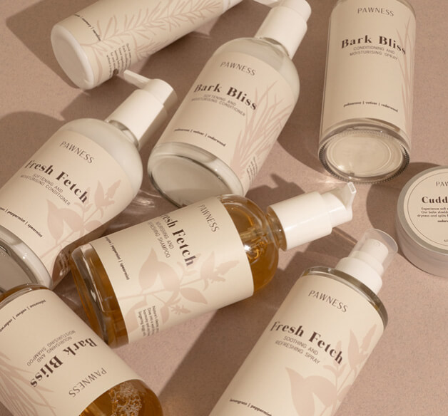 Care Collection Pawness Care Collection Pawness