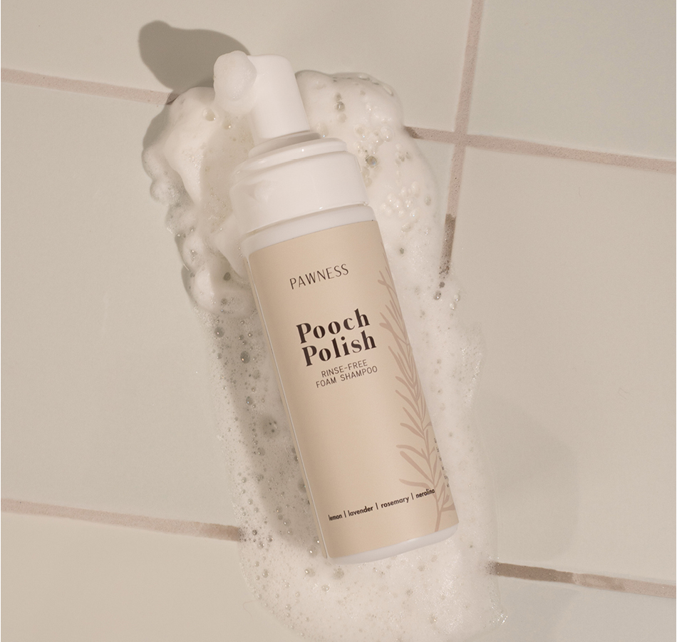 Droogshampoo voor honden spray reinigt terug vettende werking natuurlijke oliën