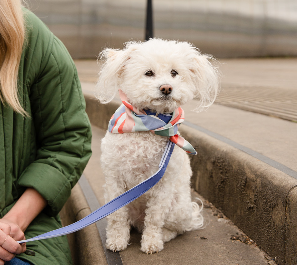 Boo in Vegan wandelcollectie Bo