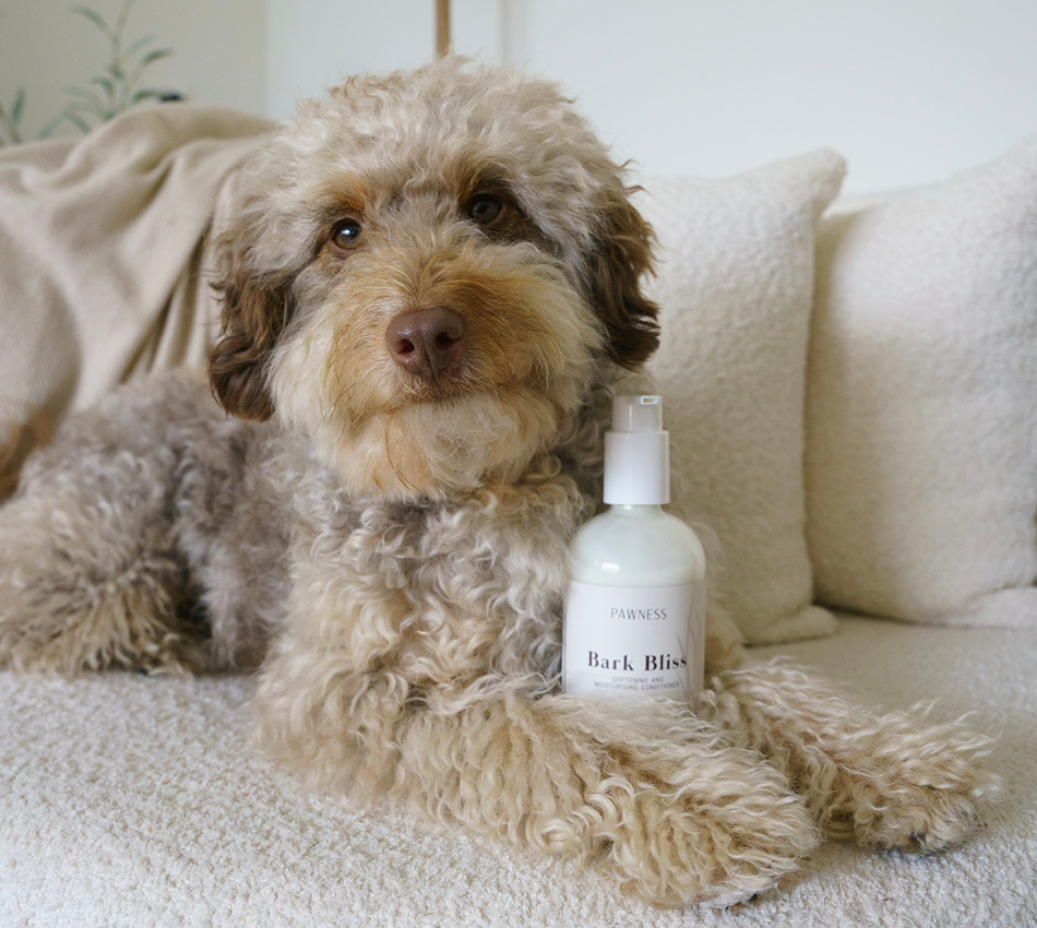 Hond met Bark Bliss conditioner