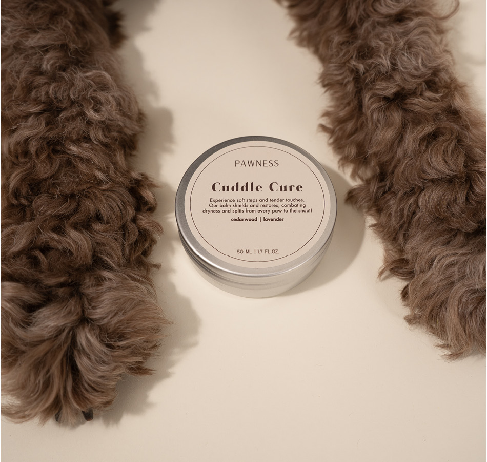 Labradoodle met cuddle cure balsem